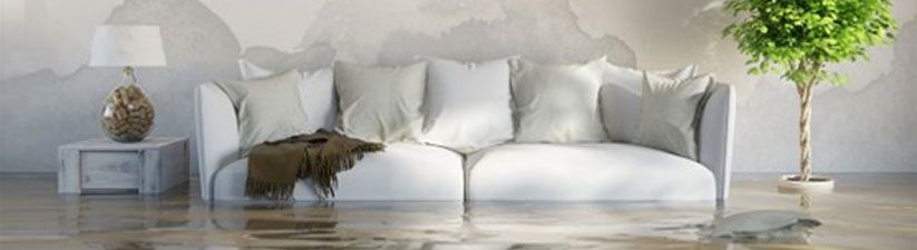 Flooded living room